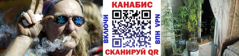 Бошки Шишки сатива  Купить закладки  Нижние Серги 